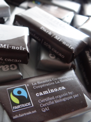 Fairtrade mini dark chocolates (55%) by Camino available on Rosette Fair Trade's online store (multiple)