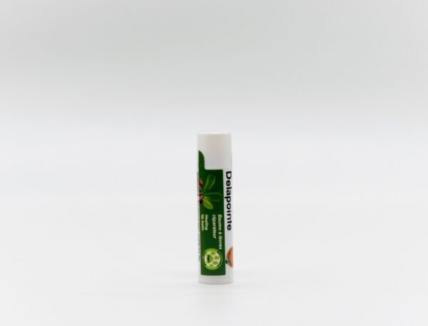 Natural shea lip balm by Delapointe on Rosette Fair Trade online store