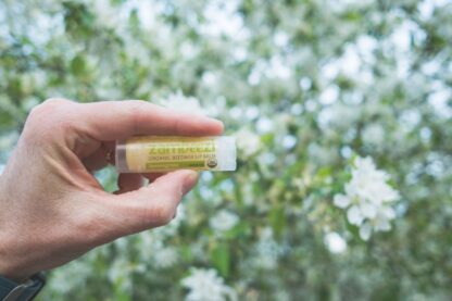 Organic lemongrass lip balm by Zambeezi (fair trade, natural) on the Rosette Network